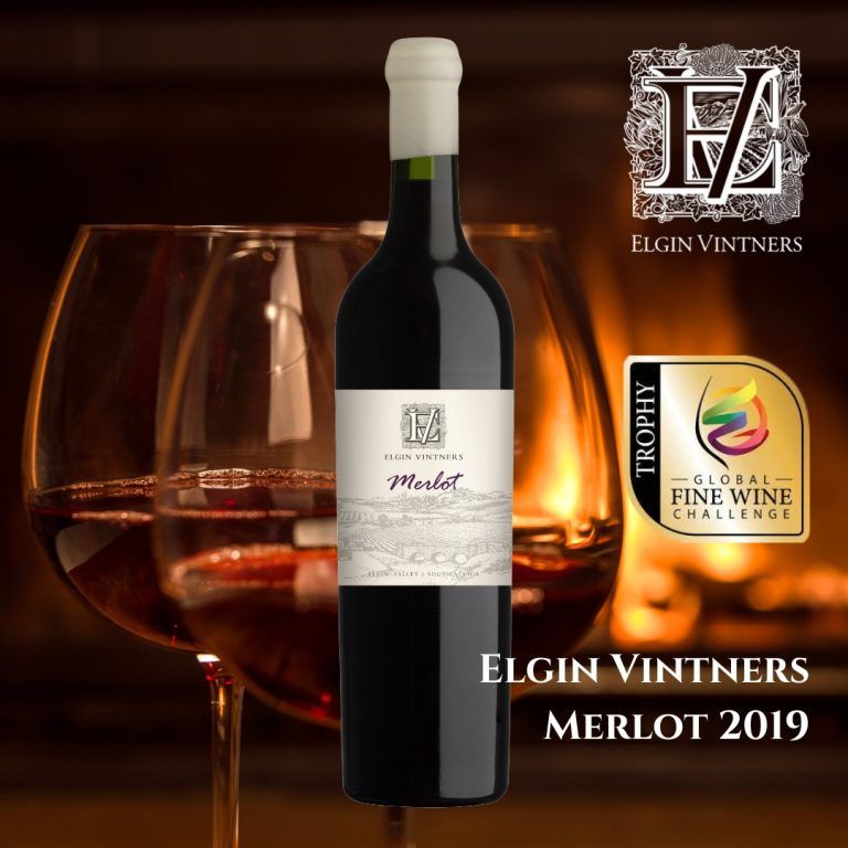 award winning Elgin Vintners Merlot 2019 global fine wine