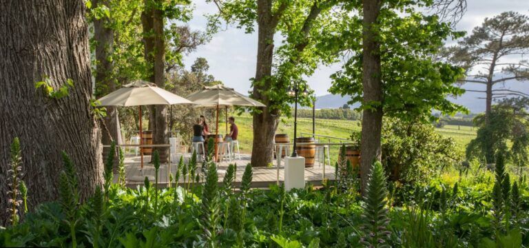 Elgin Vintners tasting room tables outside