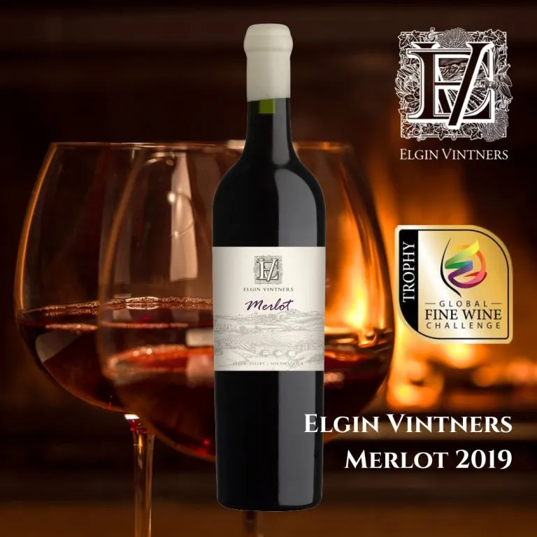award winning Elgin Vintners Merlot 2019 global fine wine
