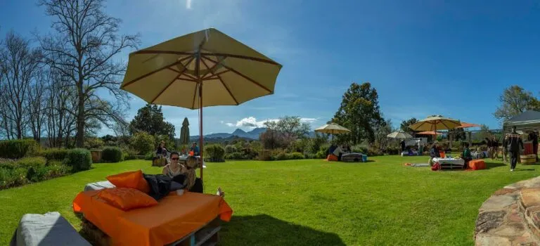 outdoor wine tasting