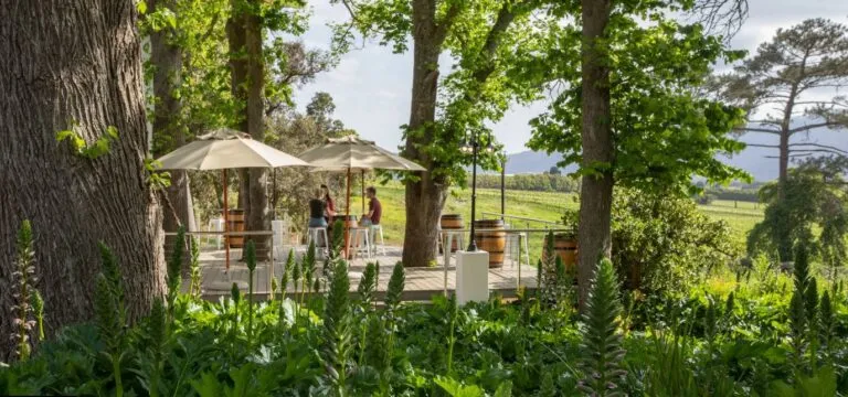 Elgin Vintners tasting room tables outside