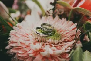 wedding rings of a flower as part of an illustration depicting experiences