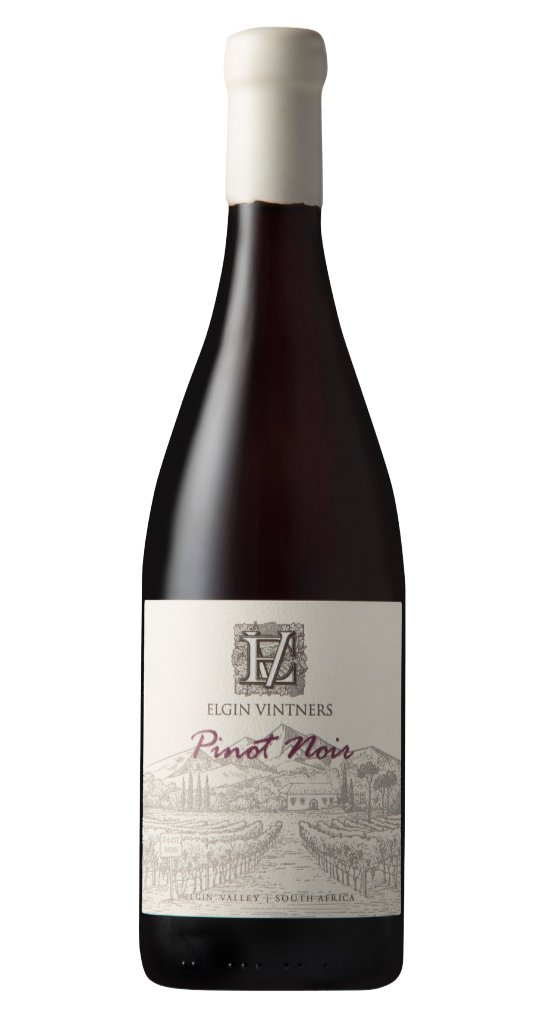 bottle of Elgin Vintners Pinot Noir with a white background to illustrate the content of the Pinot Noir 2024 Case