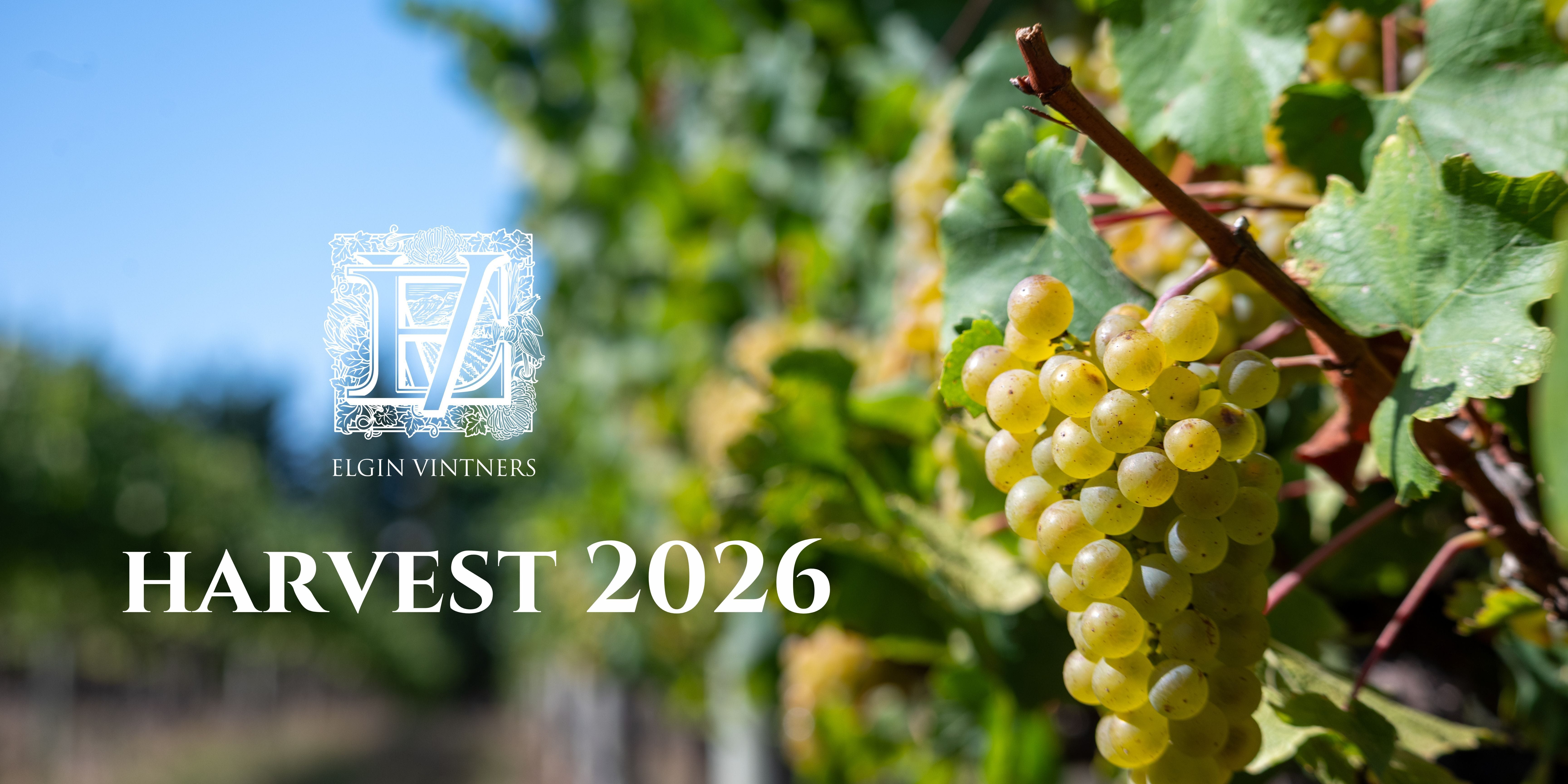 harvest report 2026